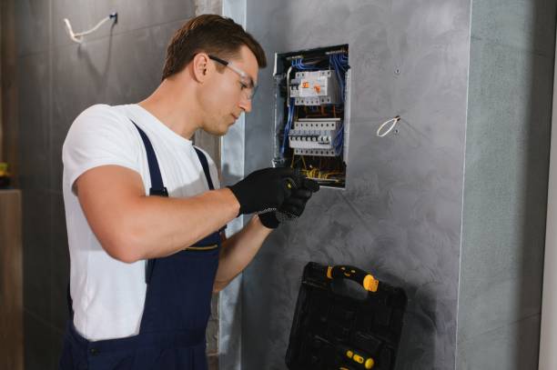 Best Electric Panel Repair  in Orange Lake, NY